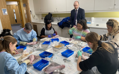 Foundations in Surgical Skills and Anatomy Course 2023, CCCU HEE RCS